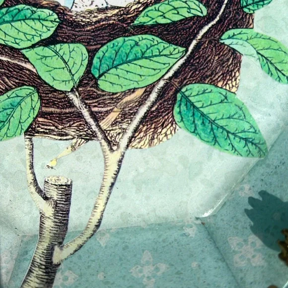 Three Charming Bird Nest Decorative Decoupage Plates
